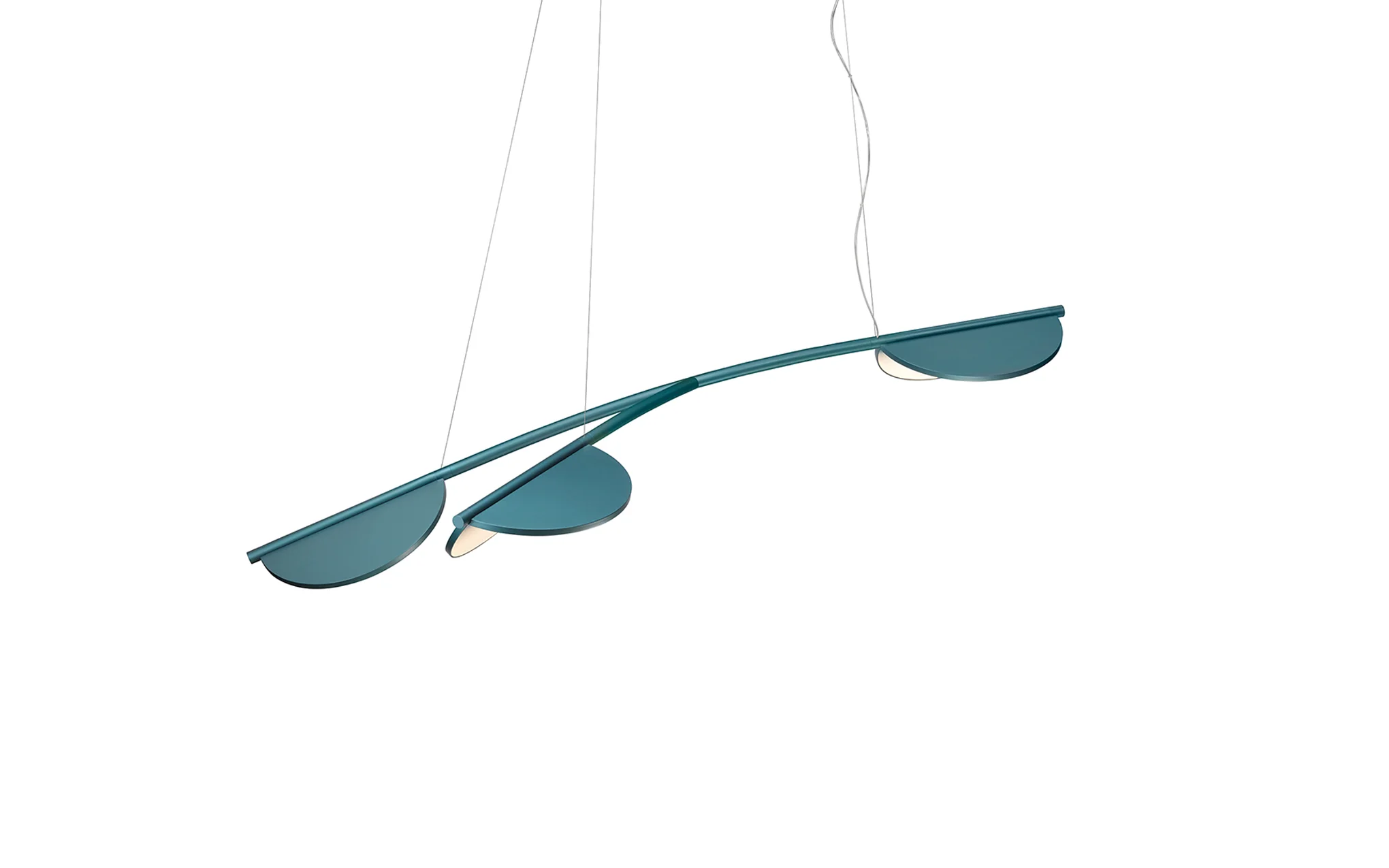Almendra Organic - Image 10