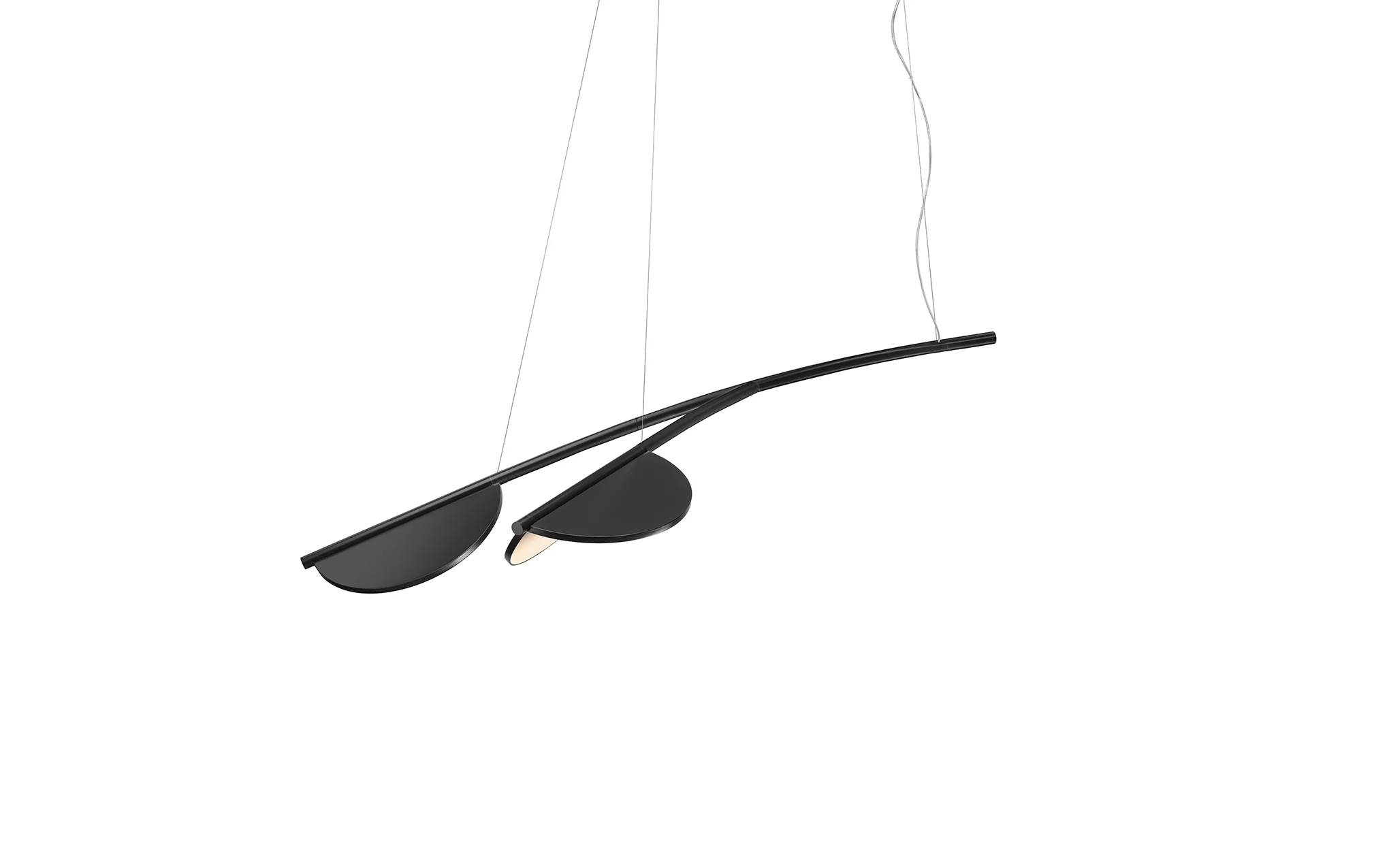 Almendra Organic - Image 4