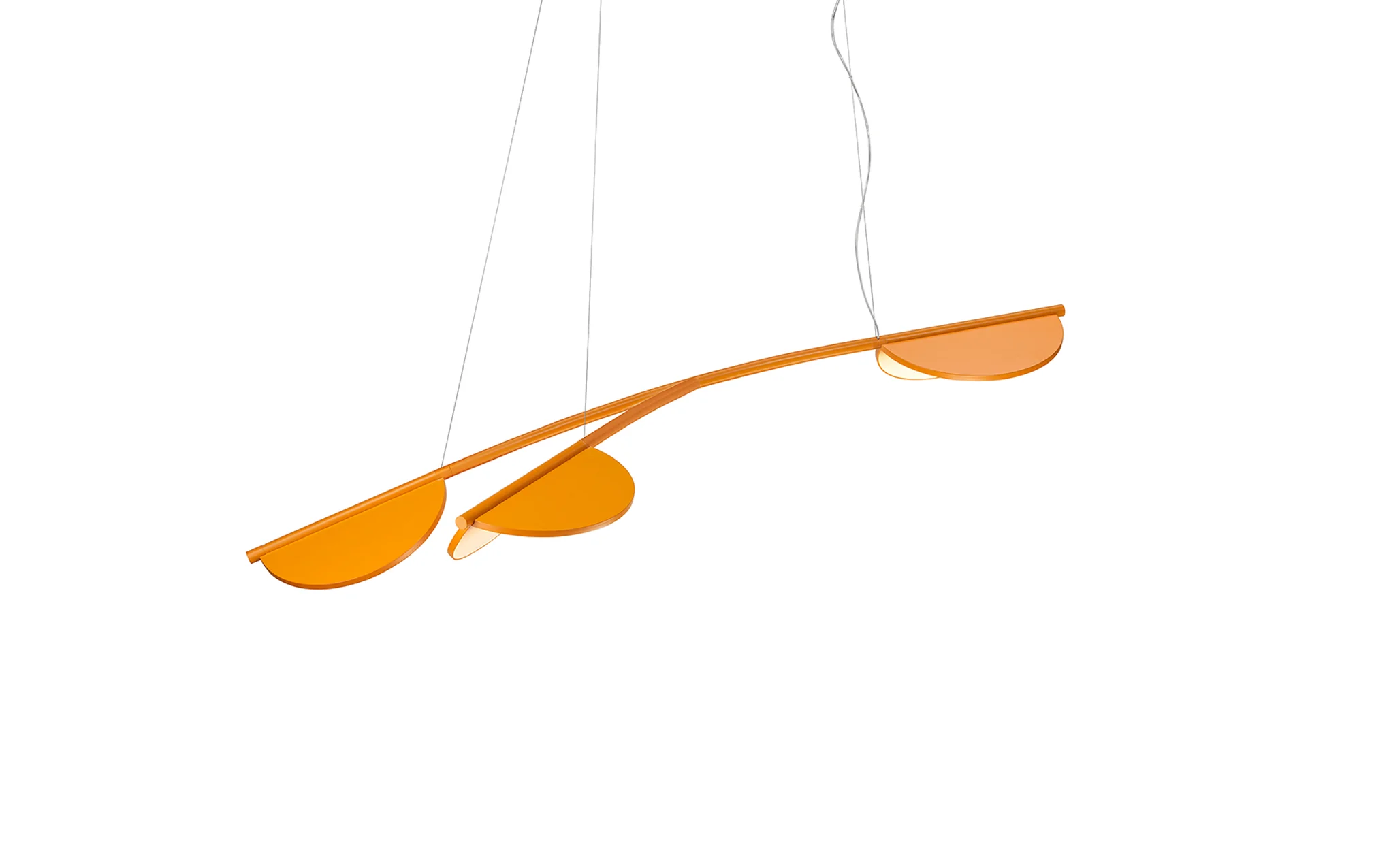 Almendra Organic - Image 7