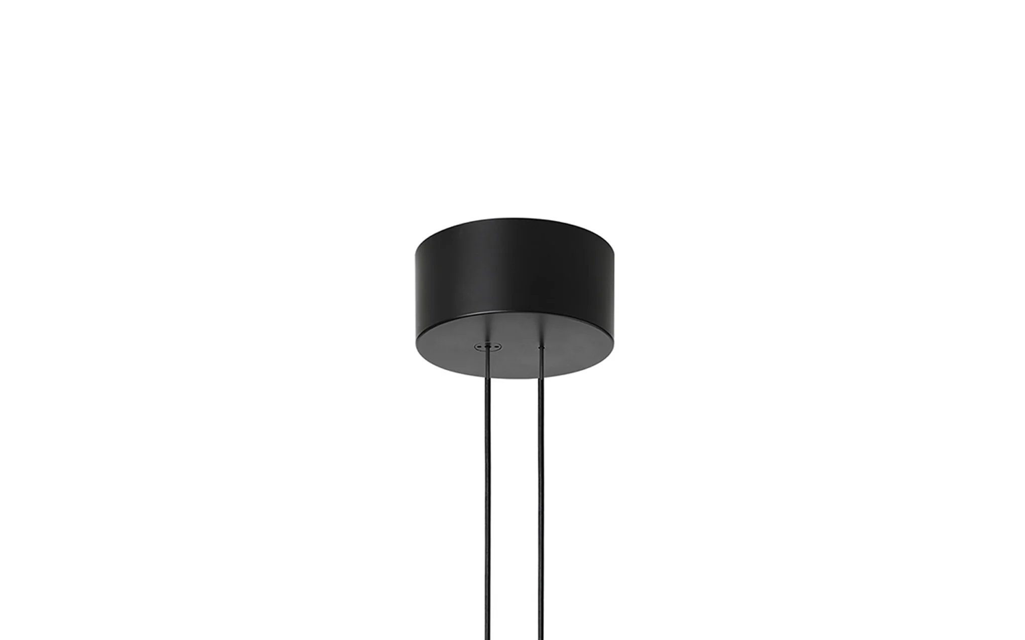 Arrangments Ceiling Rose