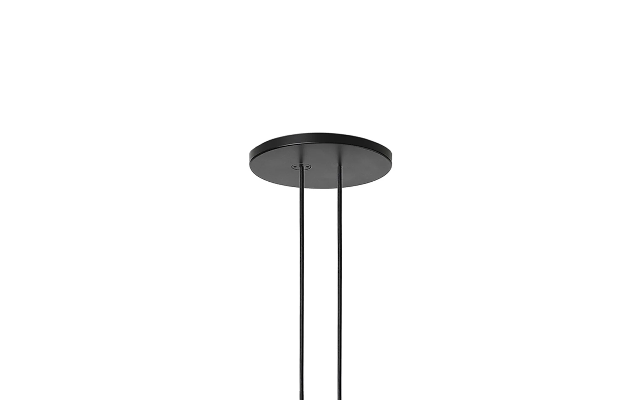 Arrangments Ceiling Rose - Image 2