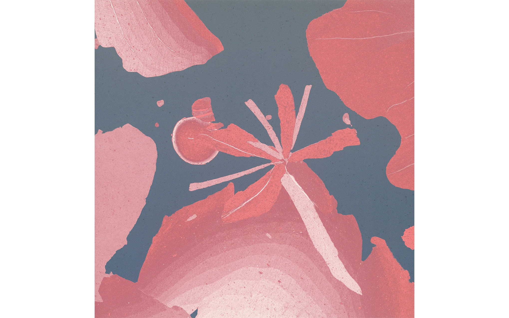 Botanica wallpaper - Image 10