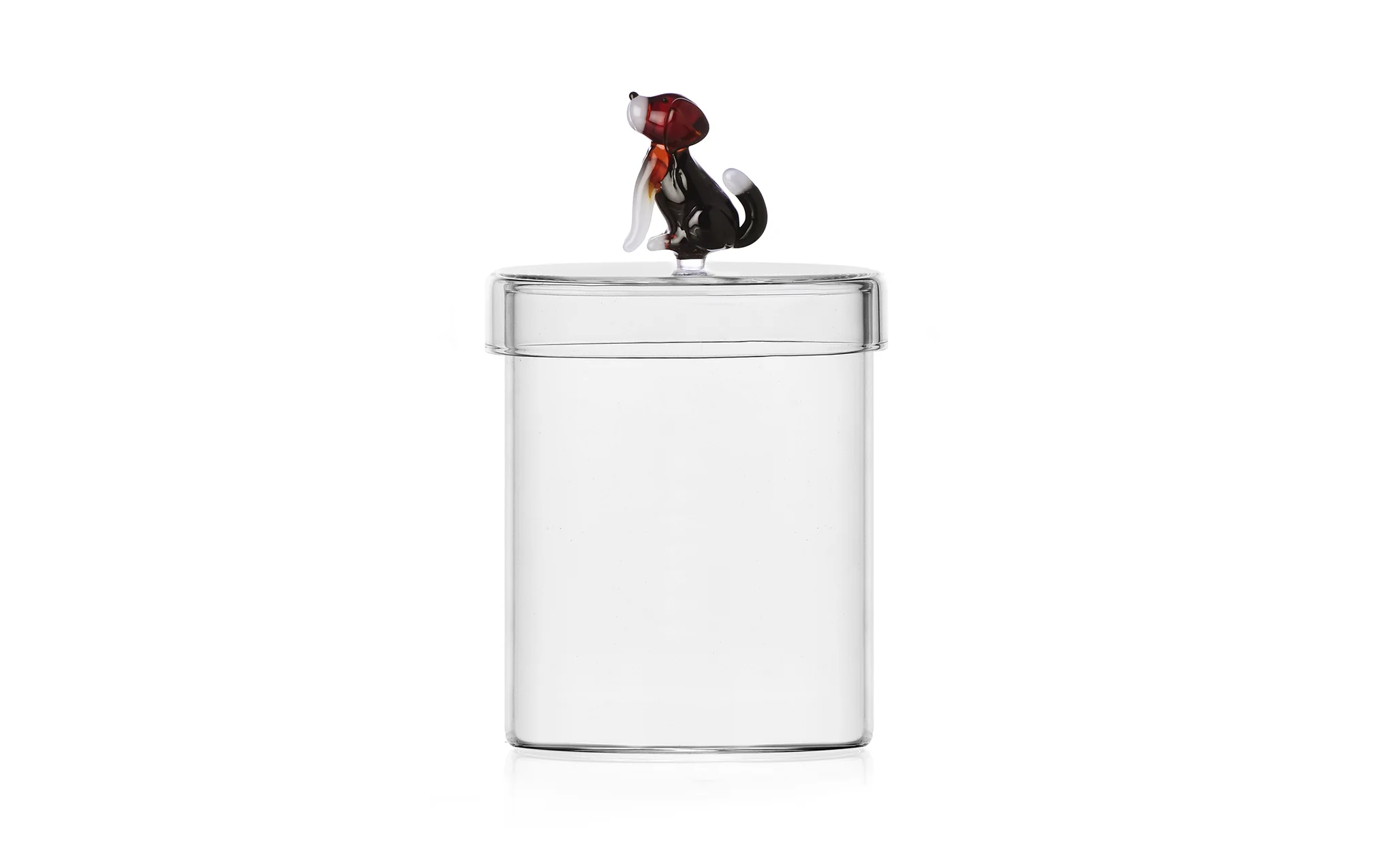 Dogs container - english foxhound