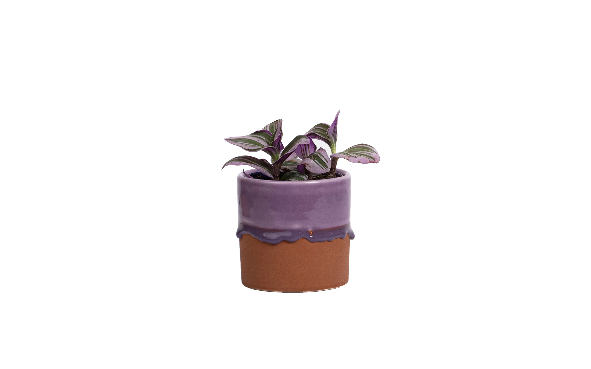 Drip ceramic planter - Image 4