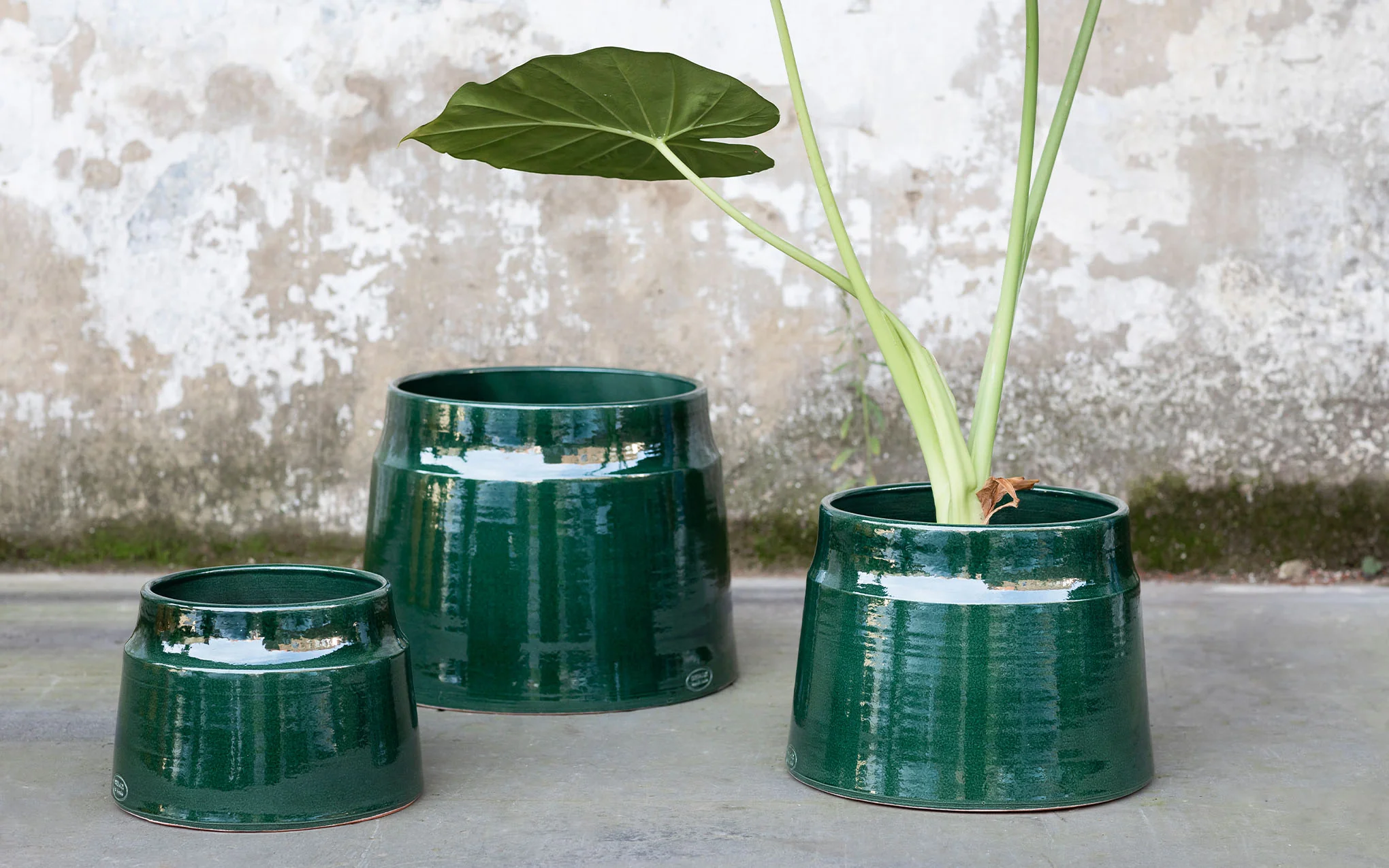 Flower pot - Image 4