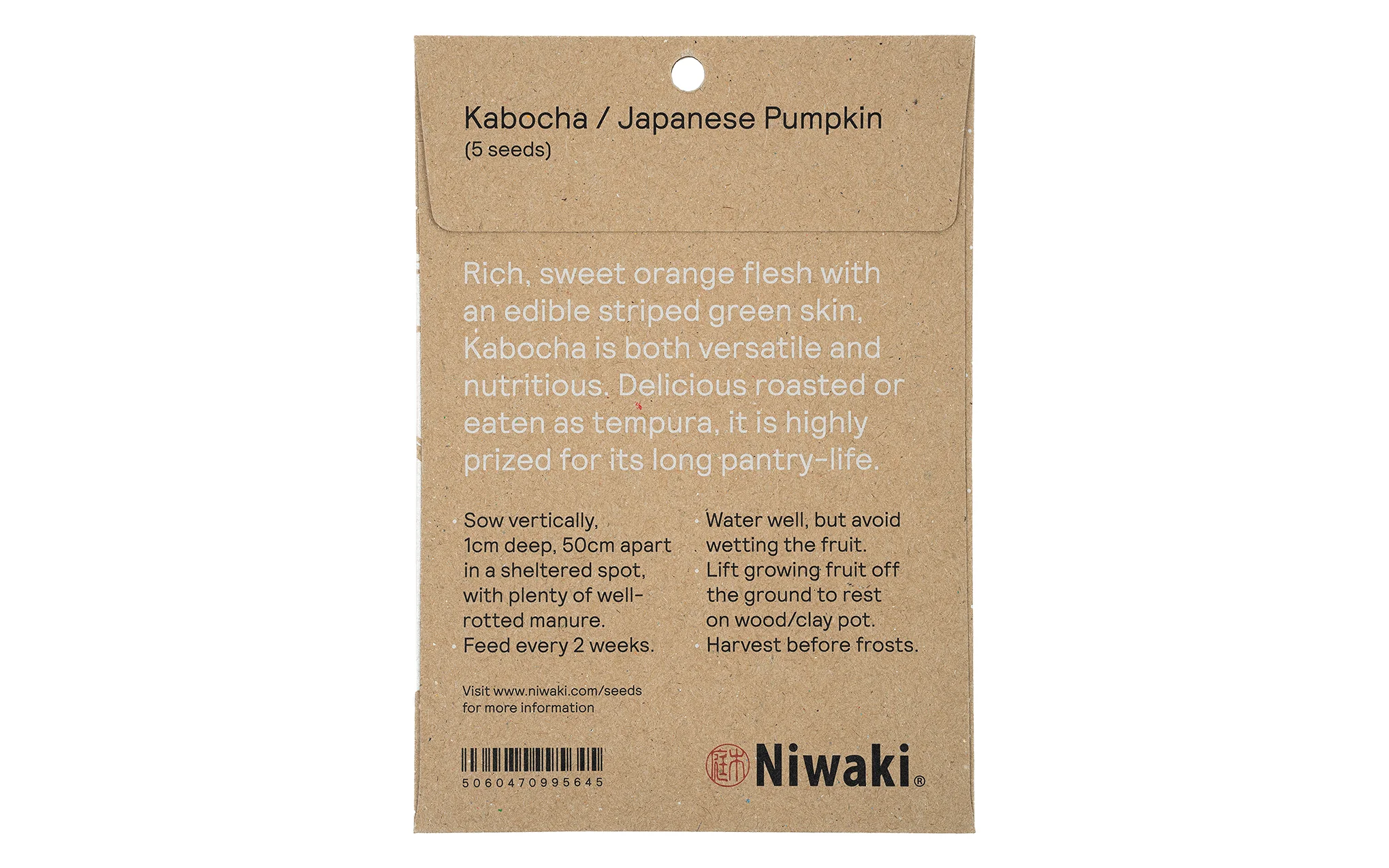 Kabocha seeds - Image 2