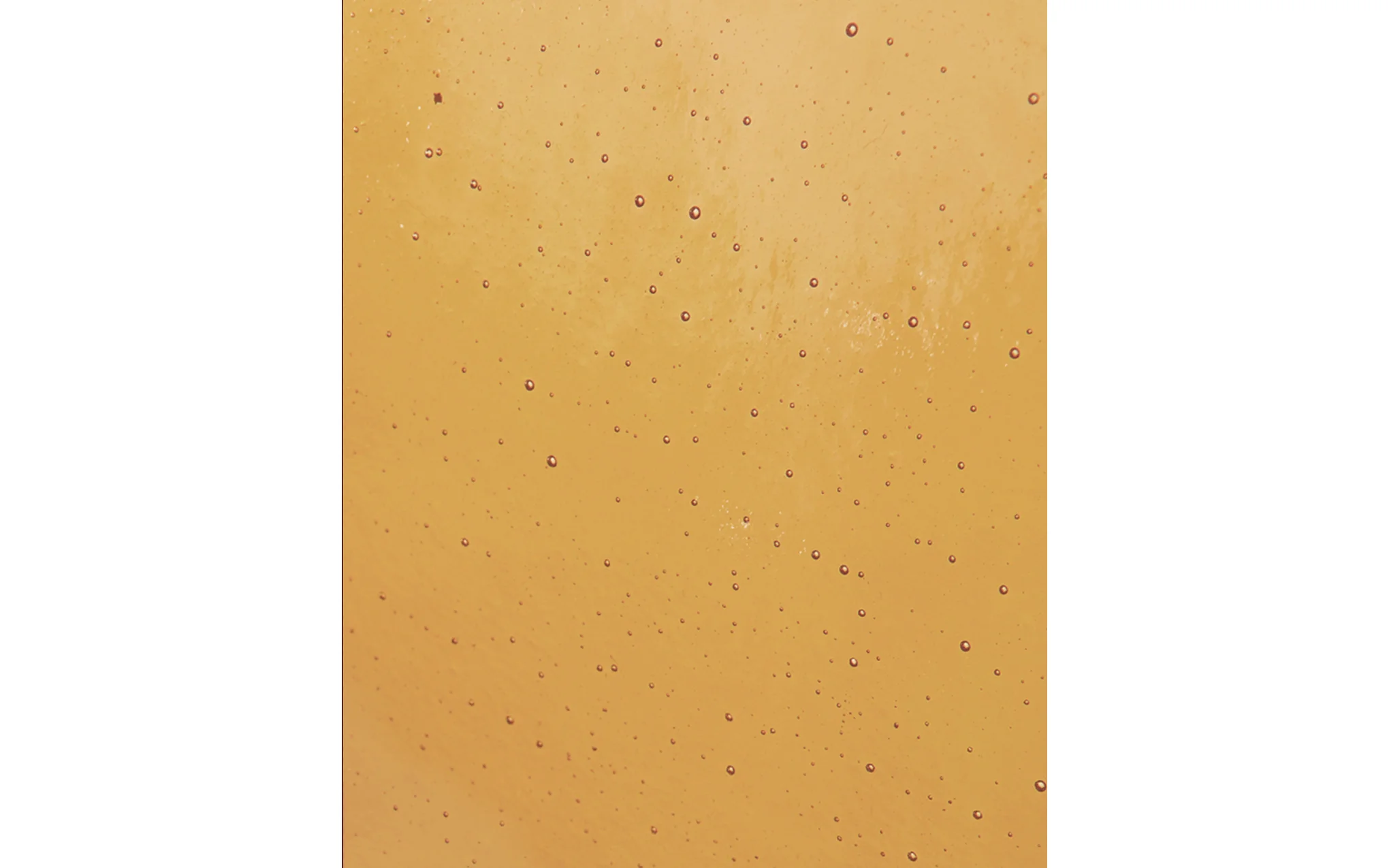 Palm single sconce - Image 7