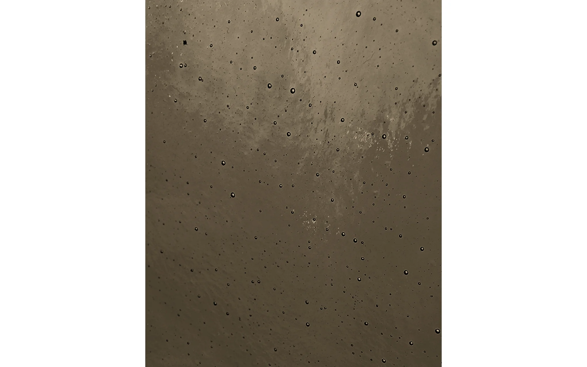 Palm table lamp - Image 8
