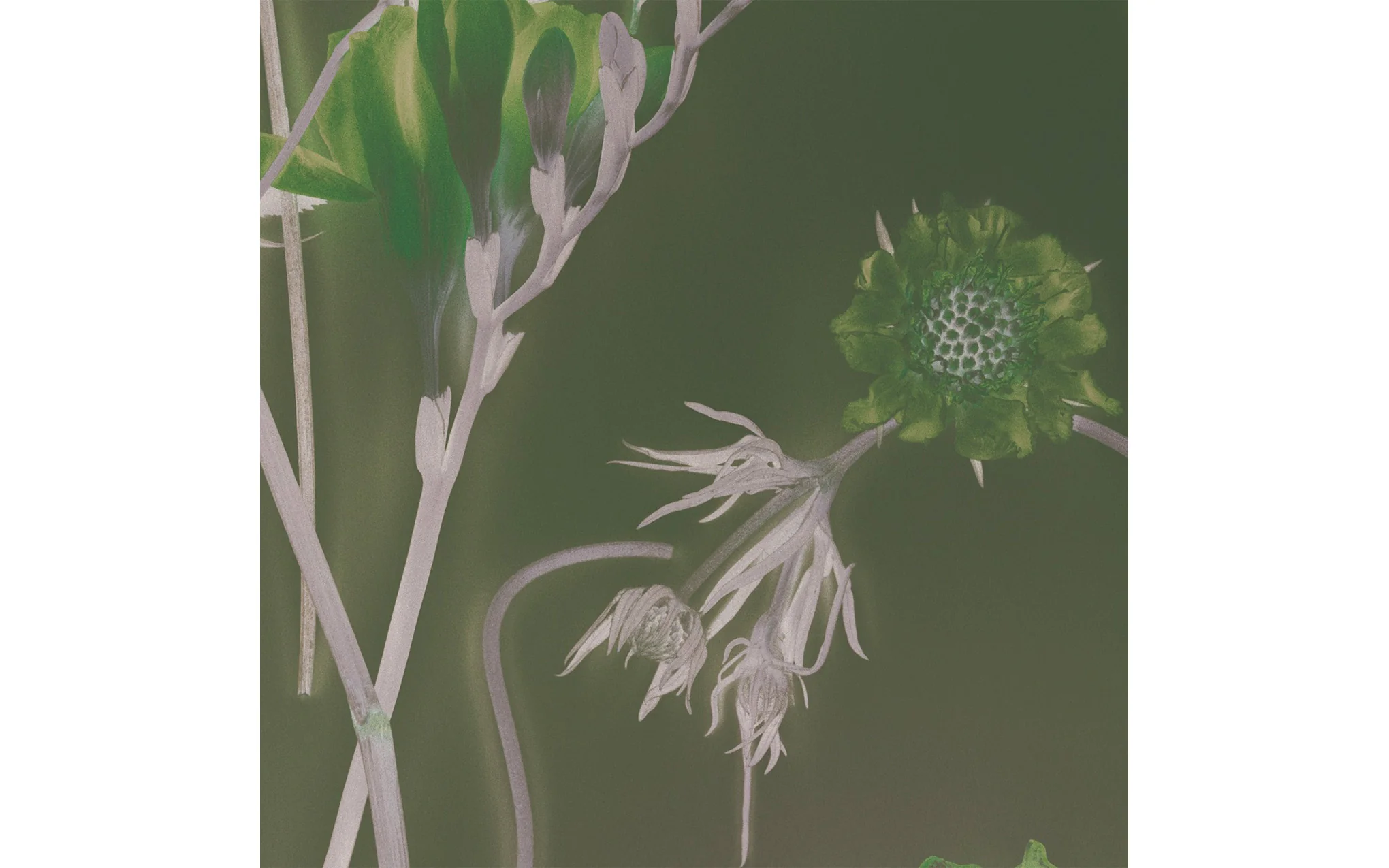 Sunprints wallpaper - Image 12