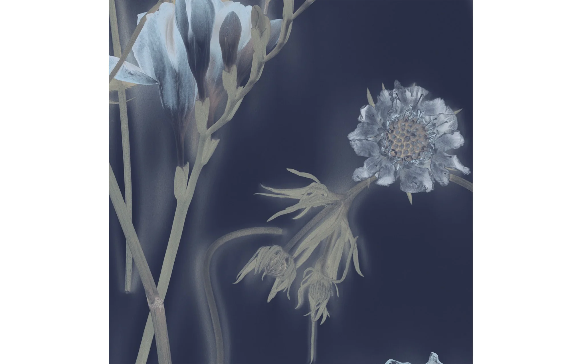 Sunprints wallpaper - Image 2